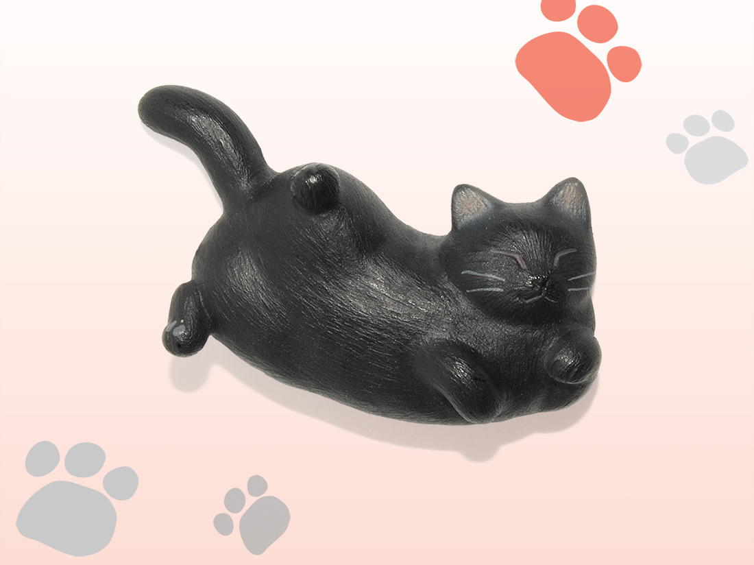 猫どん LadyCat vol.5 黒