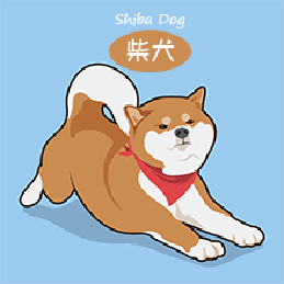 柴犬